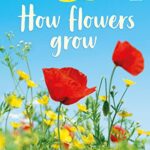 Beginners: How Flowers Grow