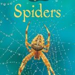 Spiders