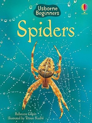 Spiders