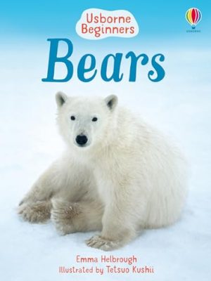 Beginners: Bears