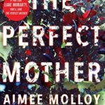 The Perfect Mother: A gripping thriller with a nail-biting twist