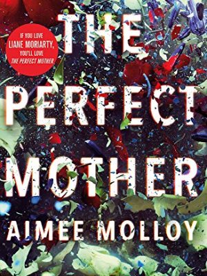 The Perfect Mother: A gripping thriller with a nail-biting twist