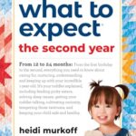 What to Expect the Second Year : From 12 to 24 Months