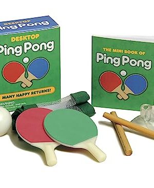 Desktop Ping Pong