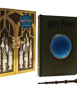 Harry Potter Pensieve Memory Set