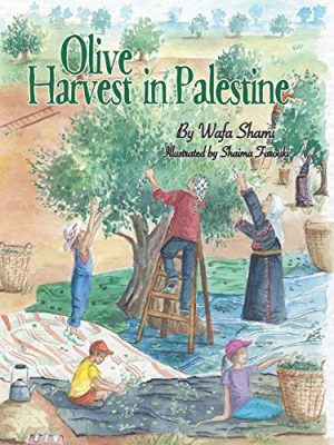 Olive Harvest in Palestine