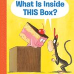What Is Inside This Box? (Monkey and Cake #1) (HB)