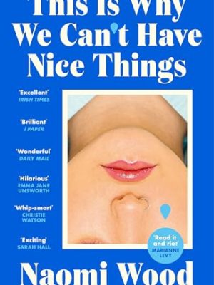 This Is Why We Can't Have Nice Things