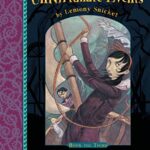 A Series of Unfortunate Events: The Wide Window