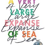 A Very Large Expanse of Sea