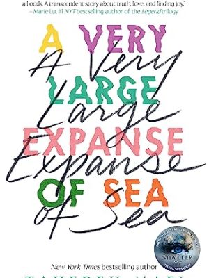 A Very Large Expanse of Sea