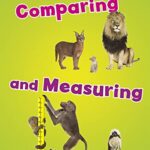 Comparing and Measuring