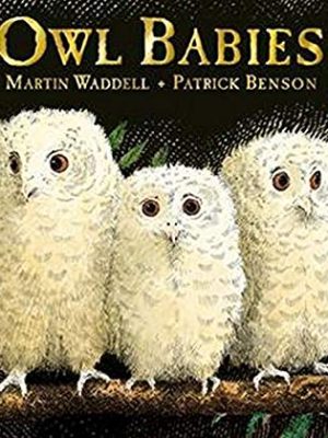 Owl Babies