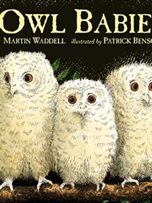 Owl Babies