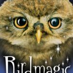 Animal Magic: Birdmagic