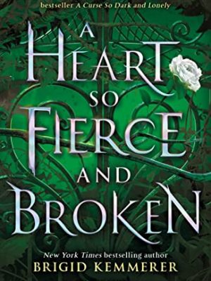 A Heart So Fierce and Broken