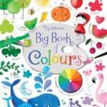 Big Book of Colours: Big Book of Colours
