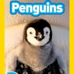 NG Readers 2: Penguins