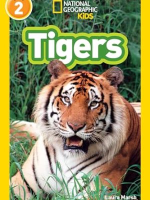 Tigers