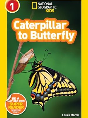 NG Readers 1: Caterpillar to Butterfly