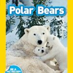 NG Readers 1: Polar Bears