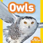 NATIONAL GEOGRAPHIC KIDS READERS OWLS (NATIONAL GEOGRAPHIC KIDS READERS)