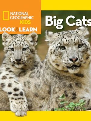 Look & Learn: Big Cats