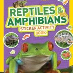 NG Sticker Activity Books: Over 1,000 Stickers!