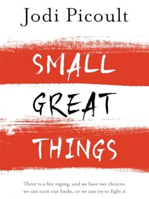 Small Great Things: The bestselling novel you won't want to miss