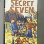 The Secret Seven 11: Fireworks