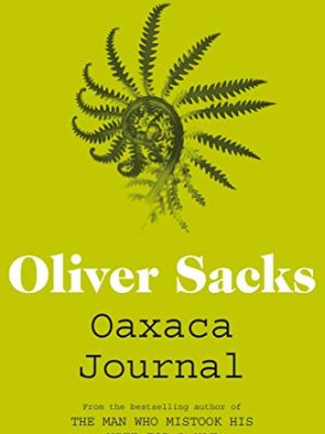 Oaxaca Journal