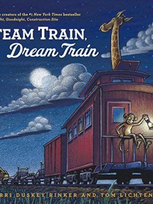 Steam Train, Dream Train