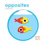 Touchthinklearn: Opposites