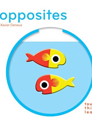 Touchthinklearn: Opposites
