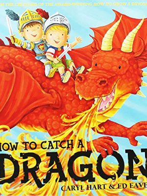 How to Catch a Dragon