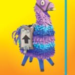 FORTNITE Official Flexibound Ruled Journal: Fortnite gift; 210 x 135mm; ideal for battle strategy notes and fun with friends