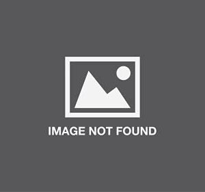 Disney Zootropolis Heroic Colouring