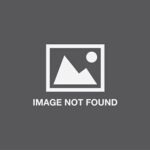 Disney Zootropolis Judy's Dream Files