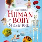 Body Books: Human Body Sticker Book