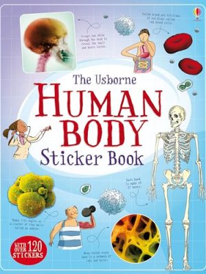 Body Books: Human Body Sticker Book