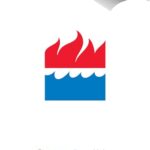 Beginners Boxed Set: Animals