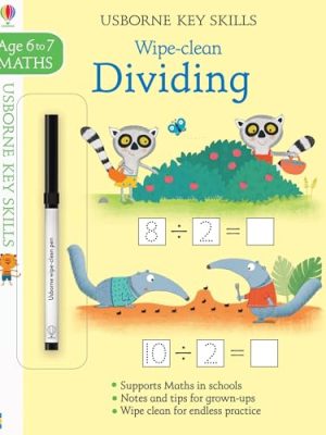 Key Skills Wipe-Clean : Dividing 6-7