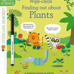 Key Skills Wipe-clean: Finding out about Plants 6-7