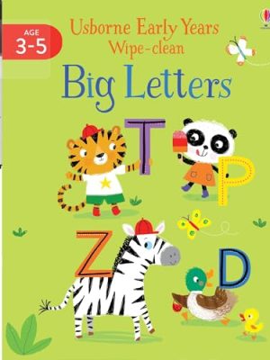 Early Years Wipe-Clean Books : Big Letters
