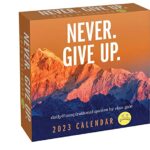 Unspirational 2023 Day-to-Day Calendar : Never. Give up