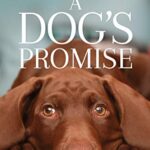 A Dog's Promise