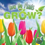 How Do Plants Grow