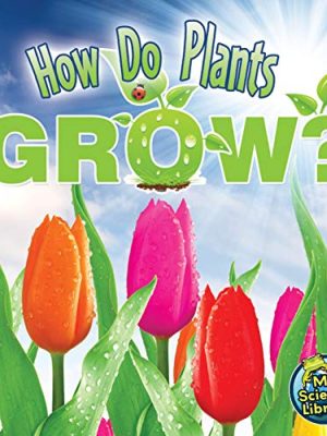 How Do Plants Grow