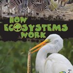 How Ecosystems Work (My Science Library,34)