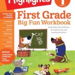 HL Activity Books: First Grade Big Fun Workbook